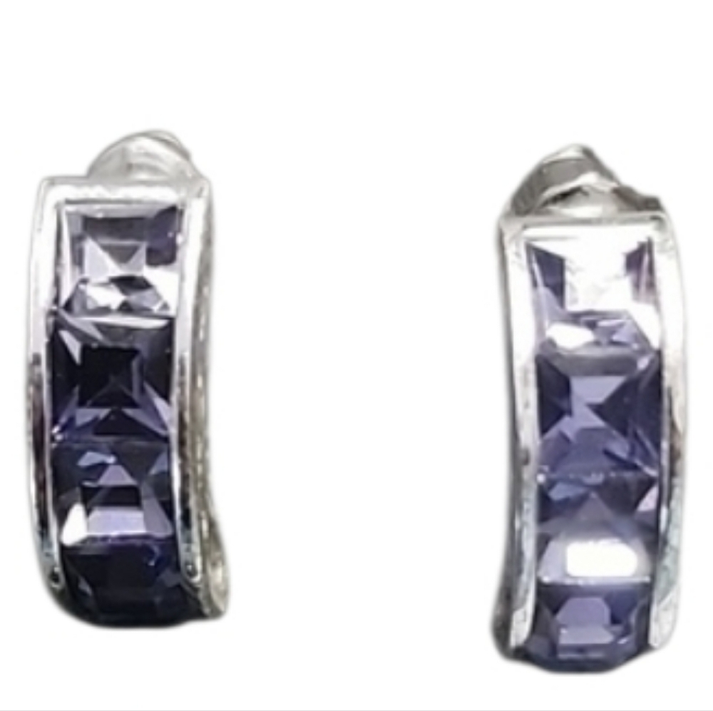 Roman Silvertone Purple Crystal Stainless Steel Earrings